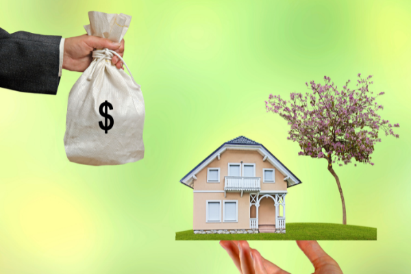 Agents Selling House For Money